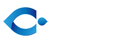 飞利猫